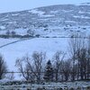 IMG_20230113_190911_435.jpg