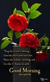 35455055e2a6452f37593fb94ded57cd.jpg