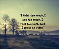 images (29).jpeg