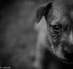 IMG_3436.jpeg