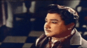 IMG_1168.gif