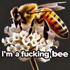 39ea18f1-b378-42c6-84e7-87bfe2ba186b.jpg