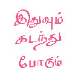 IMG_0434.gif