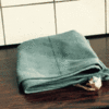 200w.gif