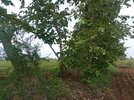 IMG_20240703_104955.jpg