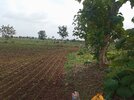 IMG_20240703_104931.jpg