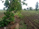 IMG_20240703_104904.jpg