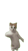 1000028418.gif