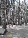 IMG20240712102942.jpg