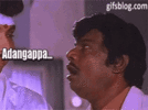 IMG_9142.gif