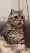 1000013373.gif