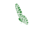 1000032872.gif