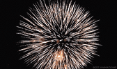 1722270993625.gif 1722270993625.gif