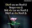 IMG_20240731_182546.jpg