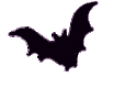 IMG_9725.gif