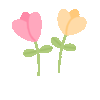 IMG_0413.gif