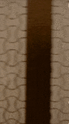1727922225978.gif