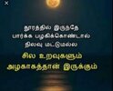 IMG_20241016_130533.jpg