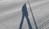 1729160639115.gif