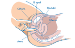 images (5).png images (5).png