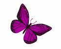 75ab91f6e3b1a3f33e81a0752ba9c9bb.gif