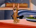 1000031927.gif