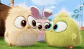 1000062021.gif