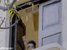 IMG_8710.gif