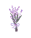 1000064399.gif