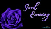 53ccd72b5f049fb1cb3ef28b976c44b3.jpg