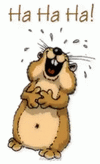 8a474416e317771fb7ed6759c1071810.gif