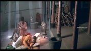 IMG_9076.jpeg