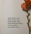 1000706559.jpg