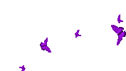 2bd9e683ab9262a7e6a2b2f4a0f9fb75a1e697483cd55127096c8bde69606c63.0.GIF
