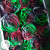 JF_HippyPsychedelic_Roses_Website_Gallery_Black-Red-Green.jpg