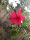 IMG_20250201_085003.jpg