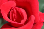 IMG_0269.JPG