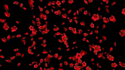1000018190.gif