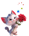 chat-cat.gif chat-cat.gif