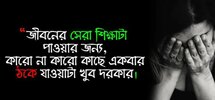 IMG_20250208_203825.jpg