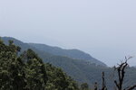 IMG_1041.JPG