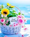 bbb1cbcc5f1dffa87a28897dc4cddde3.jpg