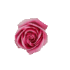 1361657_c0073.gif