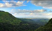 IMG_20210630_070047.jpg