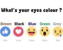 images (20).jpeg
