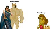 picture.jpg