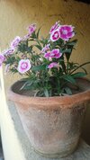 IMG_20250218_132022_1.jpg