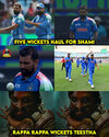shami.jpg