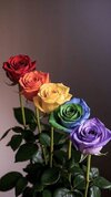 d1dd424fa3bd14c1f57b0046937206d0.jpg