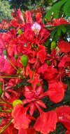 IMG_20190607_155735-01.jpeg